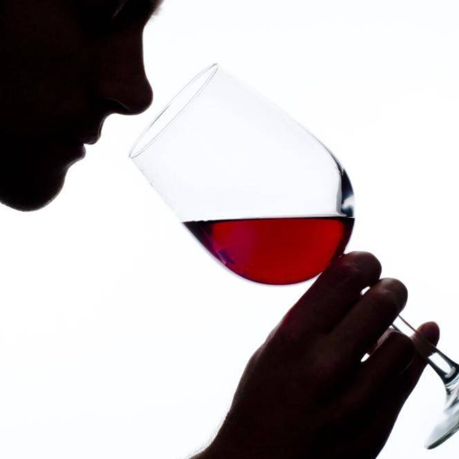 The AI Sommelier logo